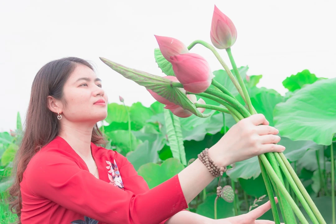 mindfulness-va-amygdala-cai-nhin-tu-mot-nha-nghien-cuu