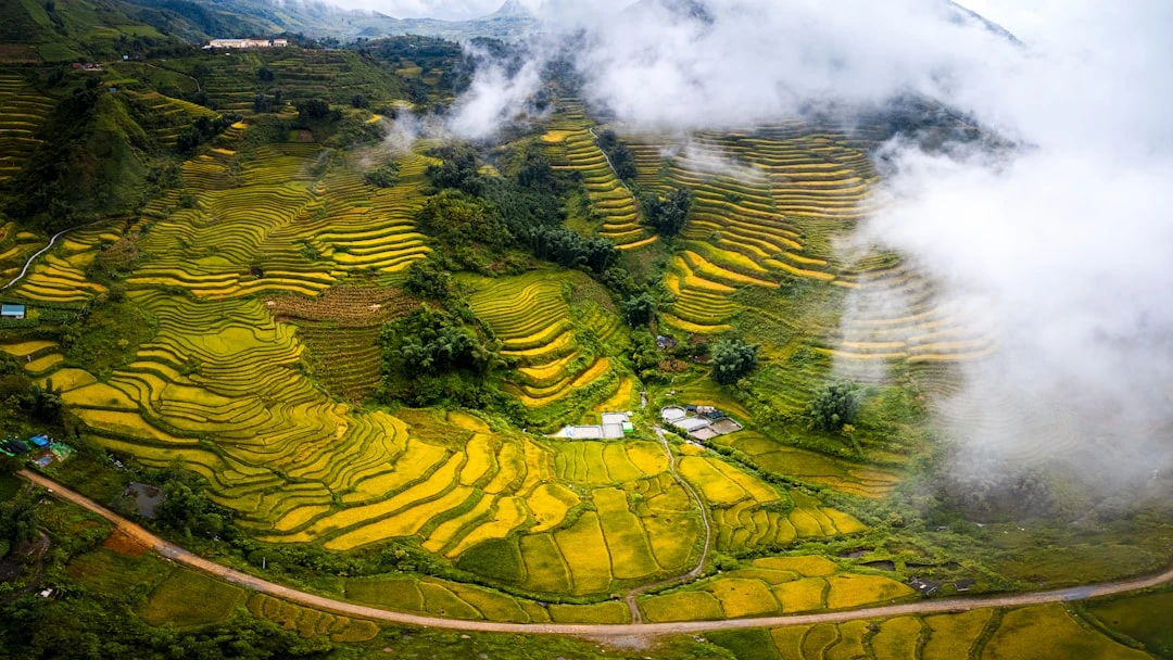 tam-quan-trong-cua-mindfulness-2020-duoi-goc-nhin-cua-ngoc-minh