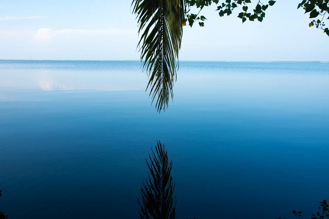 kham-pha-mindfulness-malayalam-duoi-goc-nhin-cua-mot-nha-nghien-cuu