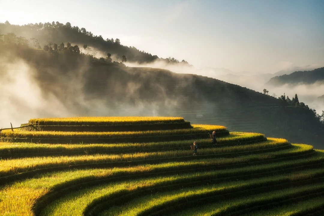 cach-giam-stress-cho-nam-gioi-goc-nhin-tu-ngoc-minh