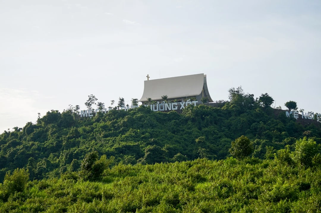 mindfulness-rain-acronym-duoi-goc-nhin-nghien-cuu-cua-ngoc-minh