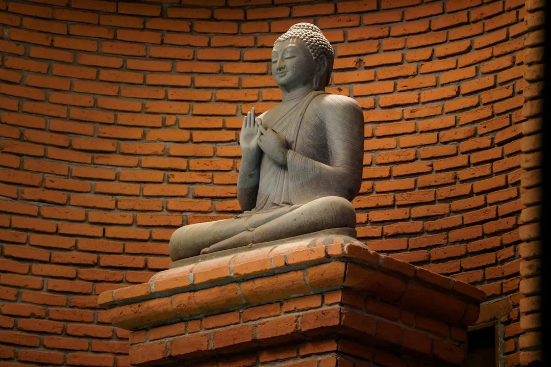 Ảnh về kỹ thuật thiền chánh niệm