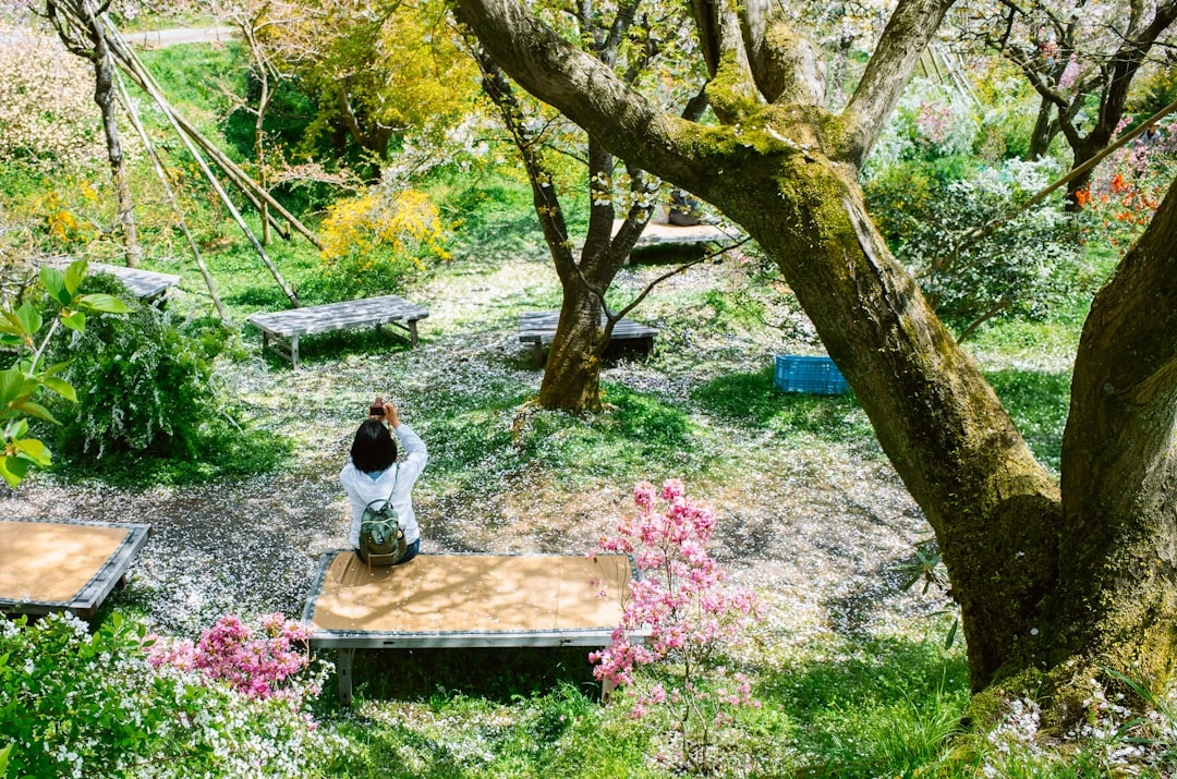 Bà bầu tại Việt Nam tham gia lớp yoga.