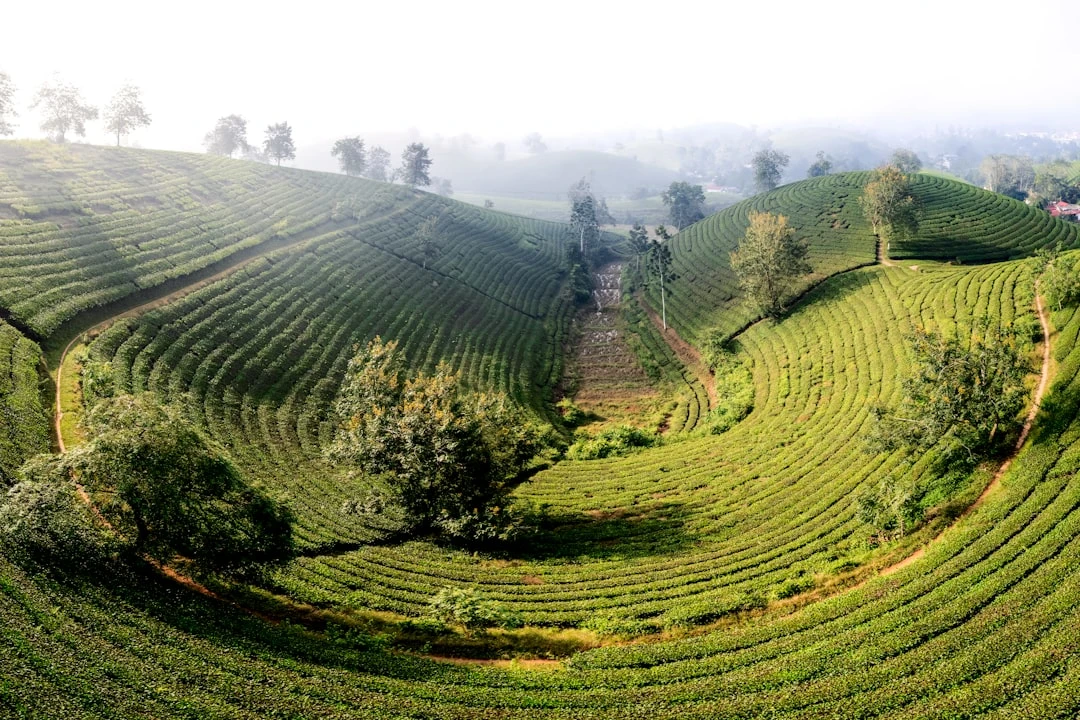 cach-giam-stress-cho-nam-goc-nhin-cua-ngoc-minh