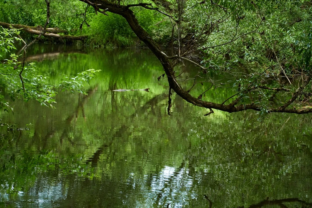 Cảnh thiền quán chiếu tại Việt Nam