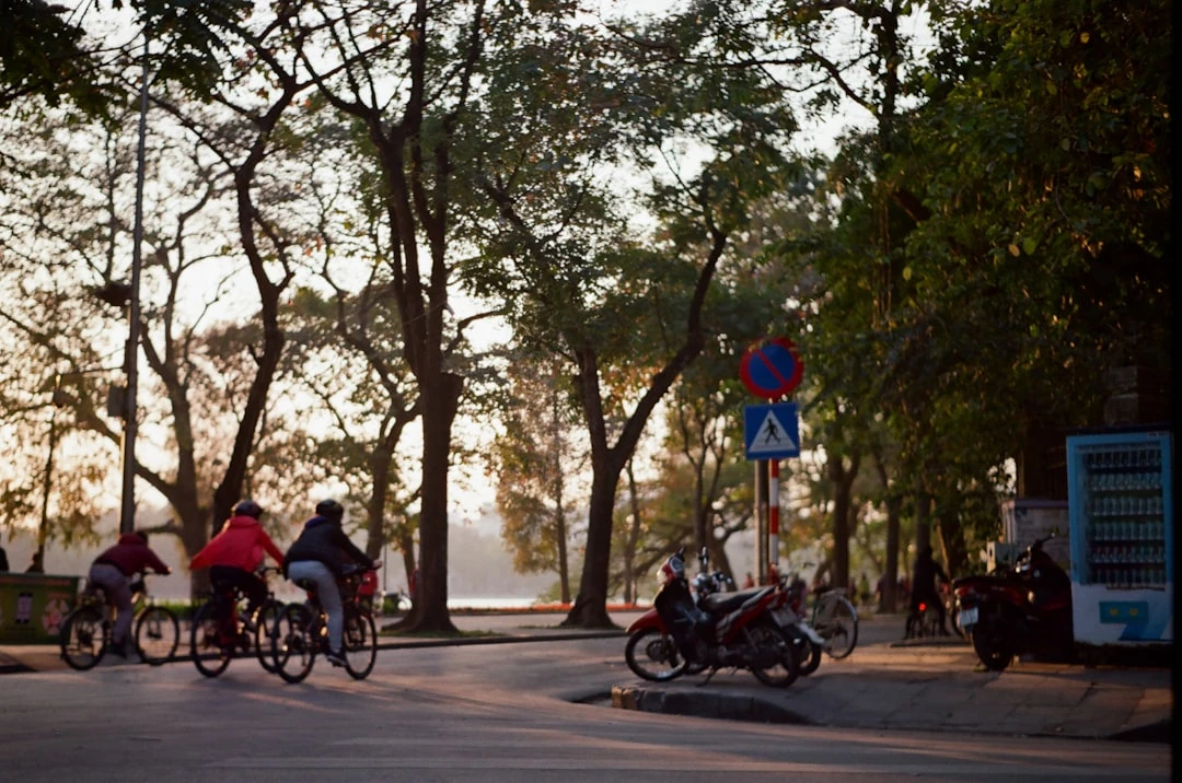 Cặp đôi chạy bộ trong công viên xanh