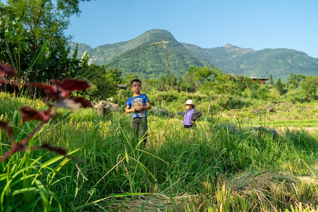 Chạy bộ giúp giảm stress tại công viên