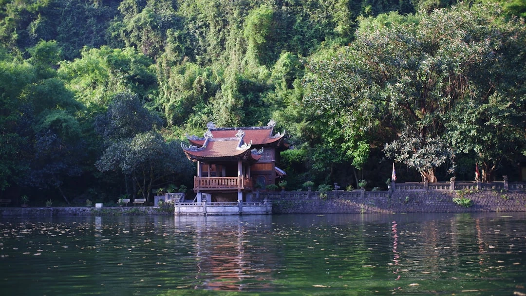 Chiến lược chánh niệm trong liệu pháp trị liệu