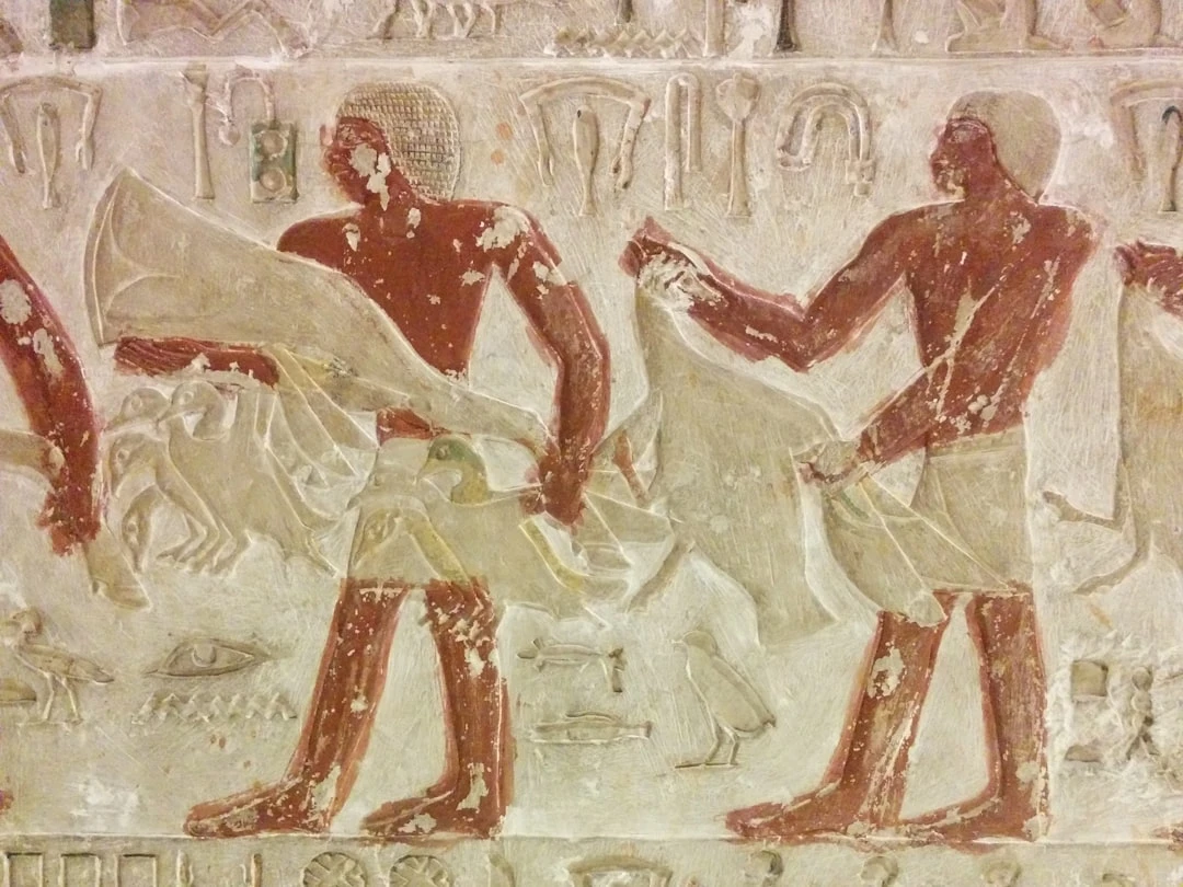 Hình ảnh thể hiện lòng từ bi và tình thương phổ quát