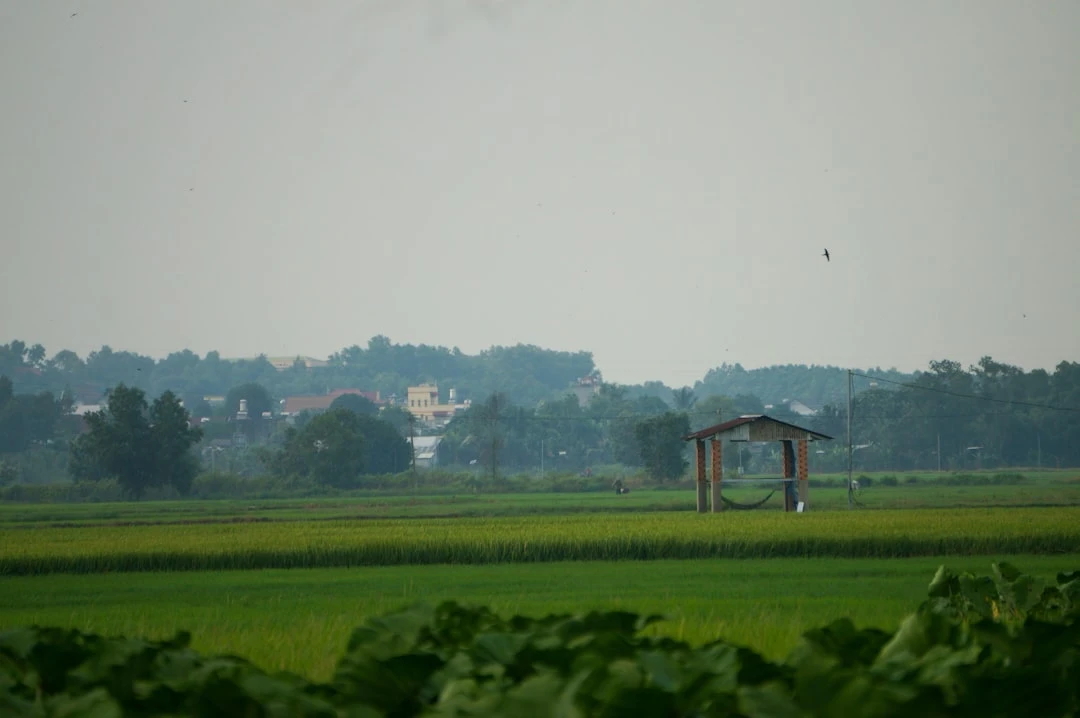 Hình ảnh thiền trong môi trường thiên nhiên.