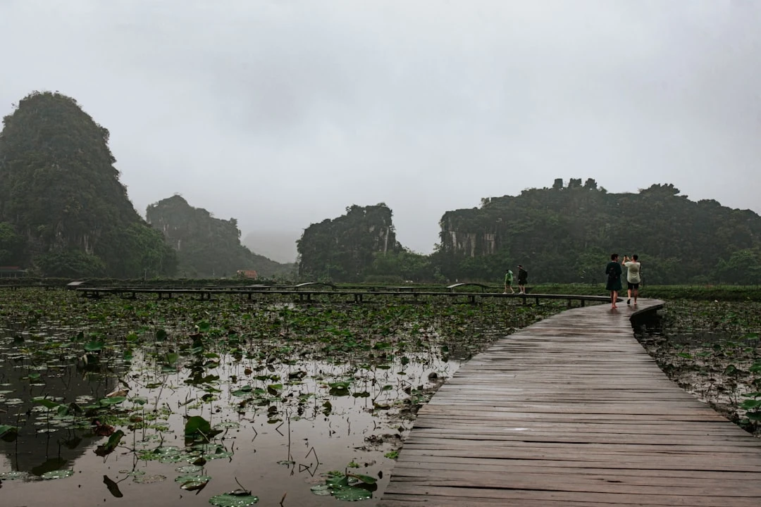 hinh anh trang thai hanh phuc