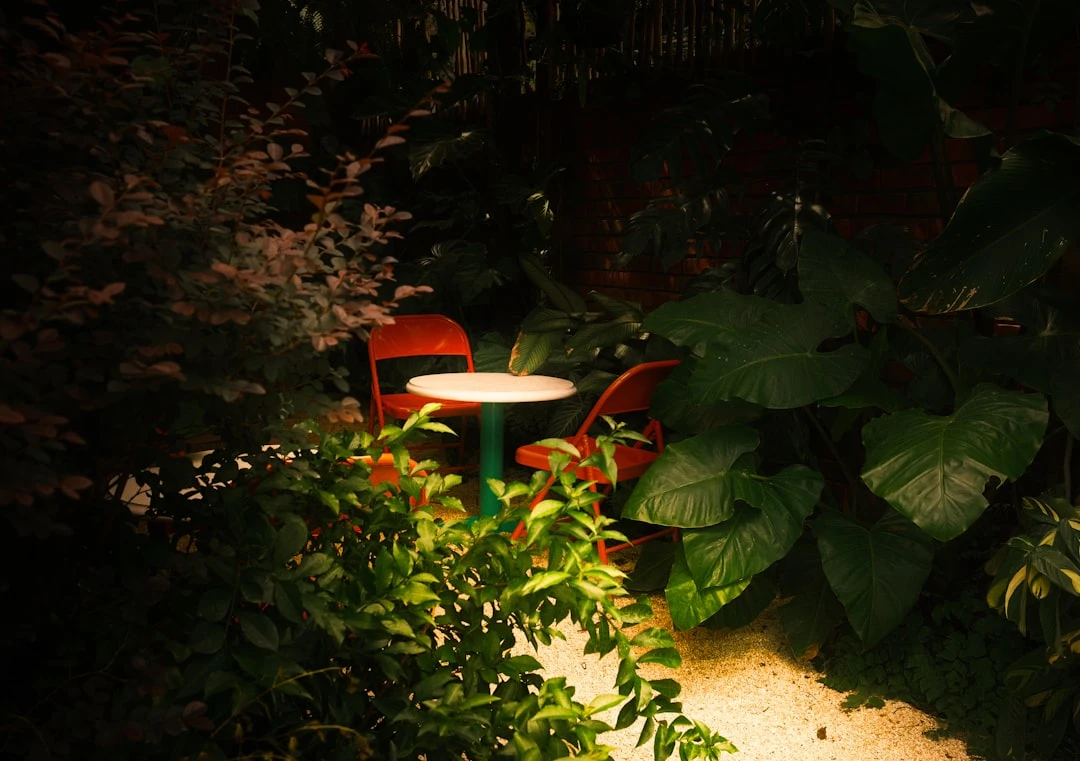 Không gian chánh niệm cho hai người tại Việt Nam