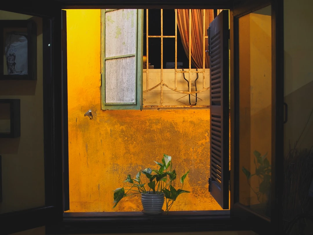 Không gian thiền an tĩnh ở Việt Nam, ánh sáng tự nhiên.