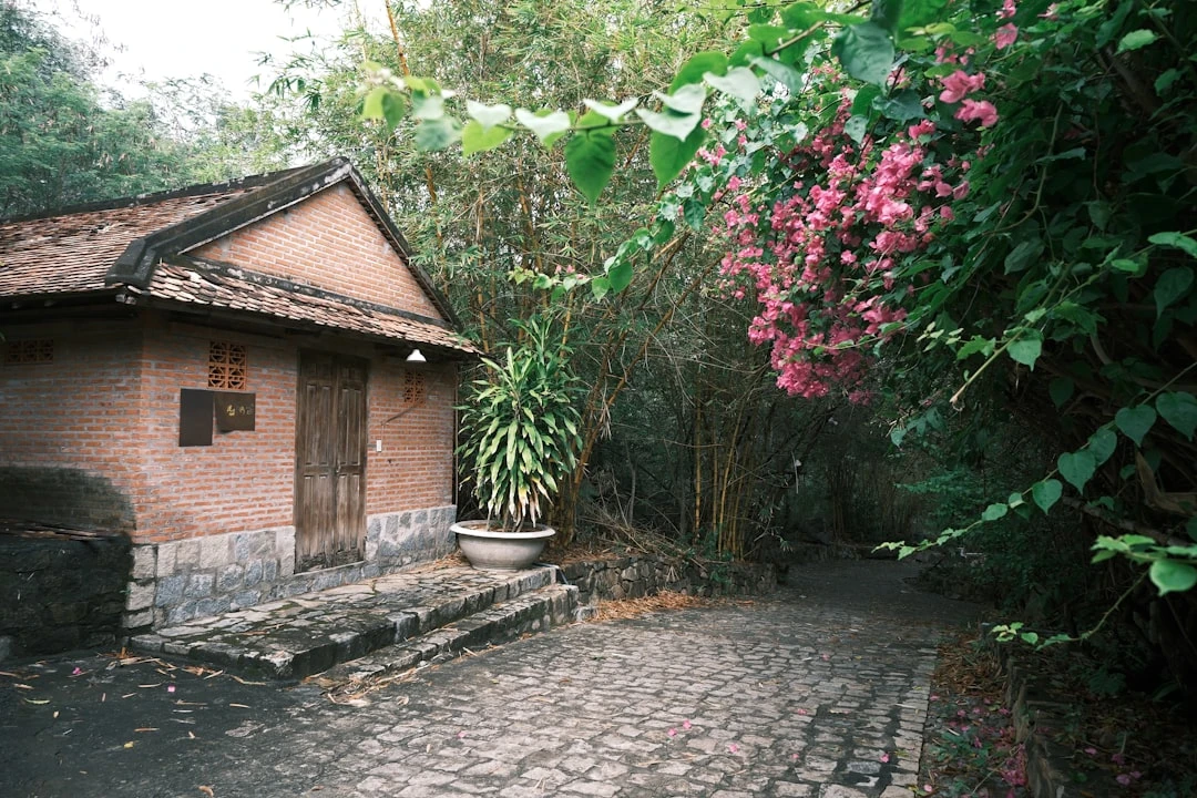 Không gian thiền mantra 5 âm tại Việt Nam