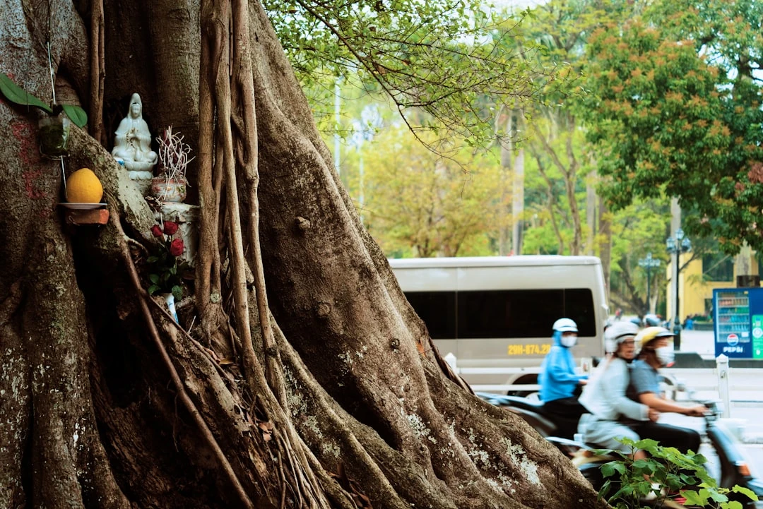 Không gian thư giãn và nghỉ ngơi cho nam giới