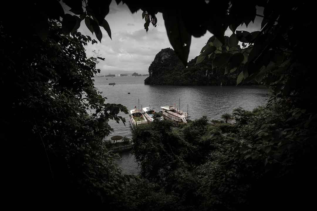 kham-pha-mindfulness-mind-map-goc-nhin-tu-ngoc-minh