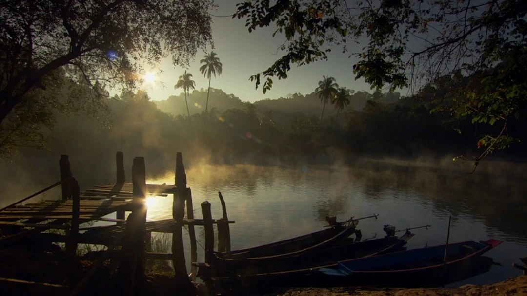 Khung cảnh thực tế tại Việt Nam phản ánh sự yên bình của mindfulness.