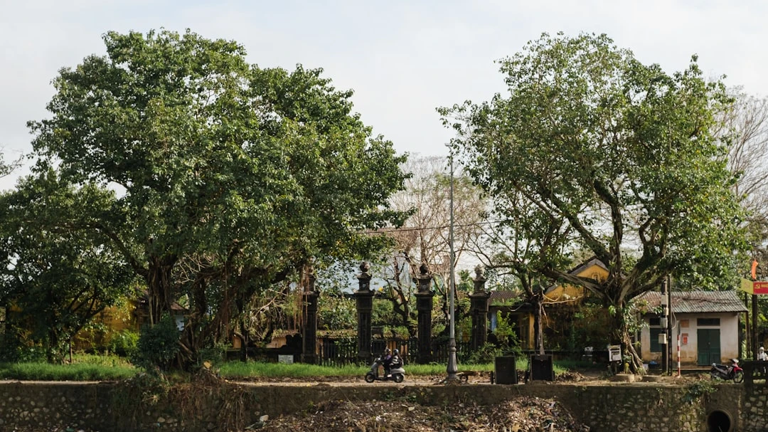 kenh-mindfulness-youtube-cho-tre-goc-nhin-nha-nghien-cuu