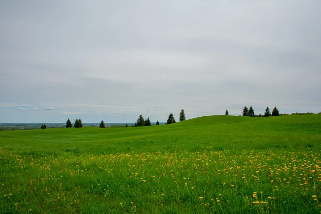 Lợi ích của thiền 10 ngày