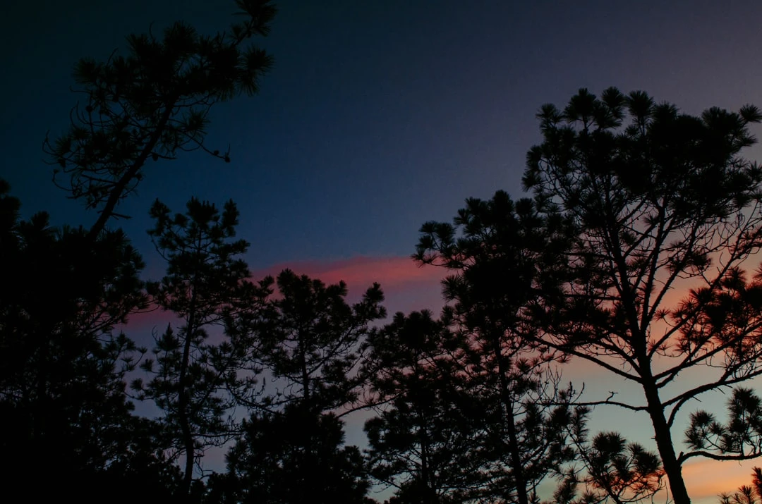 mindfulness-to-sleep-kham-pha-giac-ngu-voi-ngoc-minh