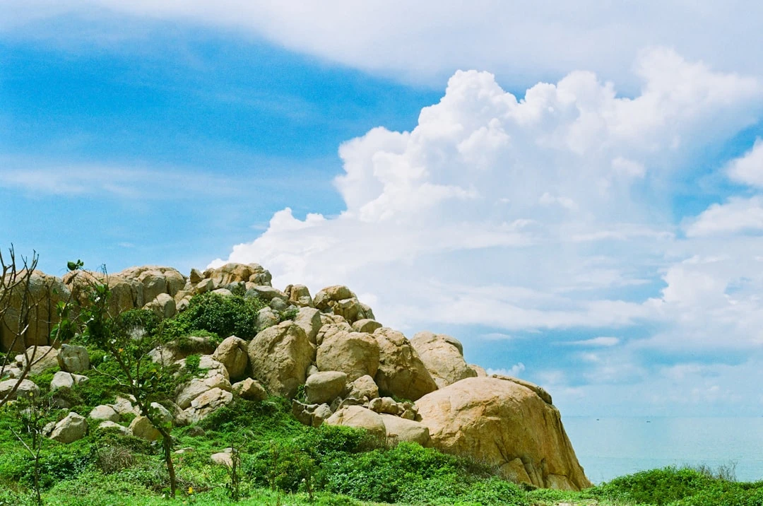 Ngôi chùa thiền Phật giáo yên bình ở Việt Nam