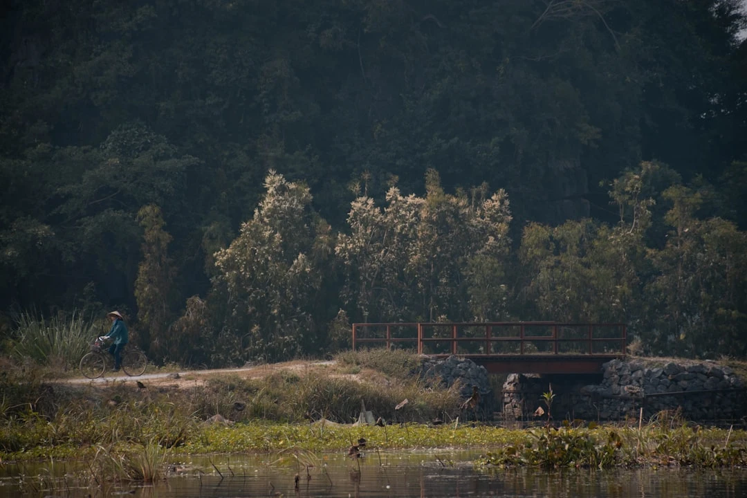 Người ngồi thiền trong phòng yên tĩnh