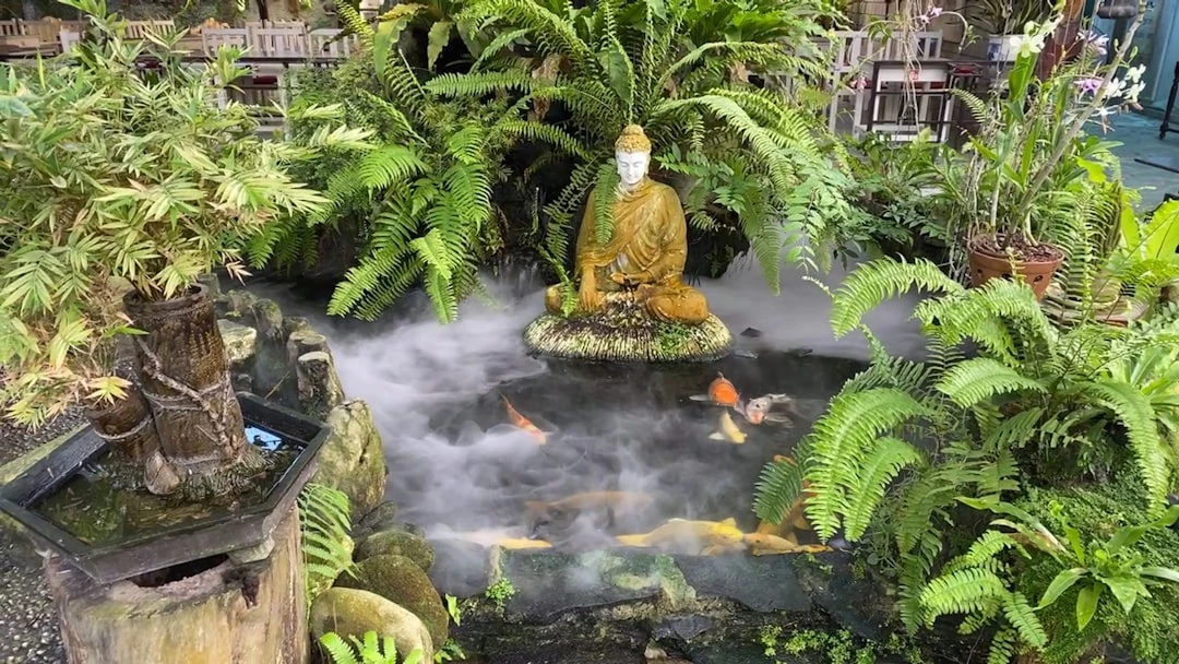 Người tập thiền trong vườn, cải thiện sức khỏe tinh thần.