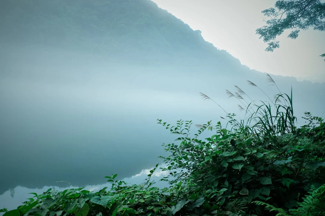 cach-giam-stress-khi-bi-mun-goc-nhin-tu-mot-nha-nghien-cuu-tam-ly