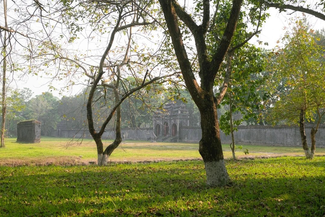 Nhóm người chạy bộ trong công viên Việt Nam