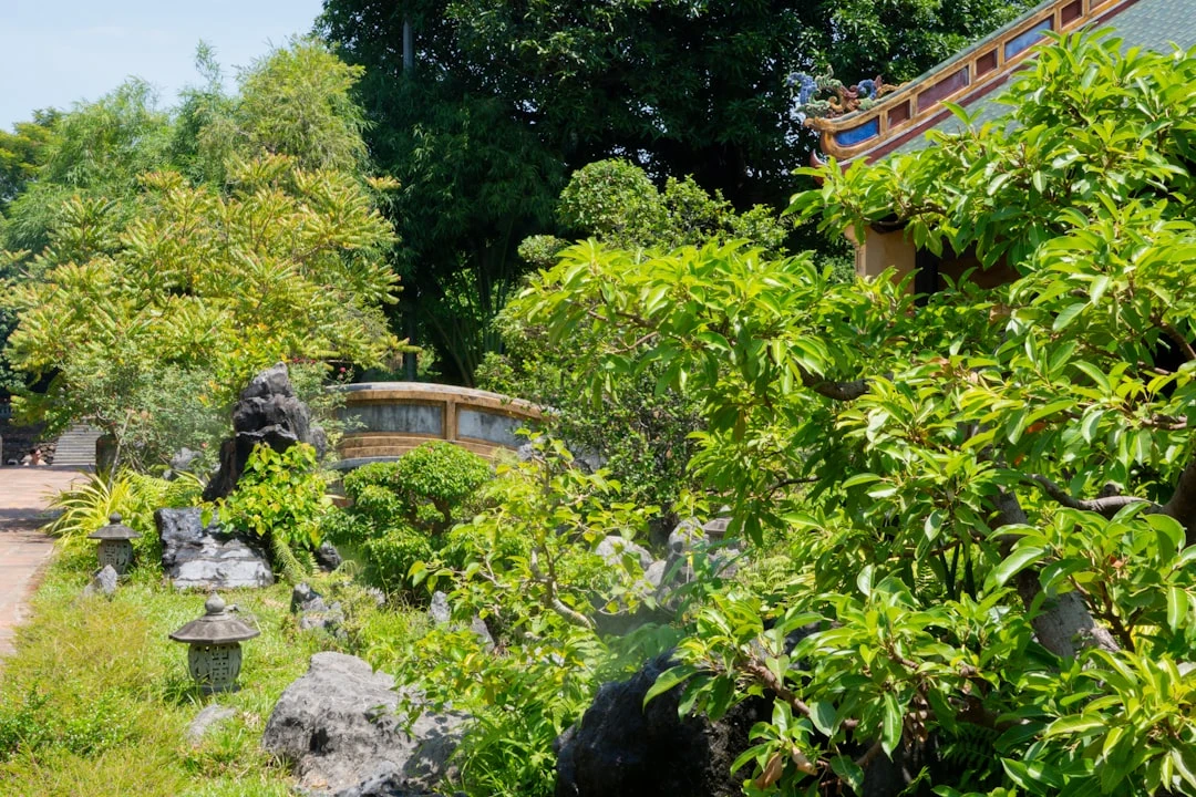 Nhóm người thực hành thiền chánh niệm tại một khu vườn ở Việt Nam