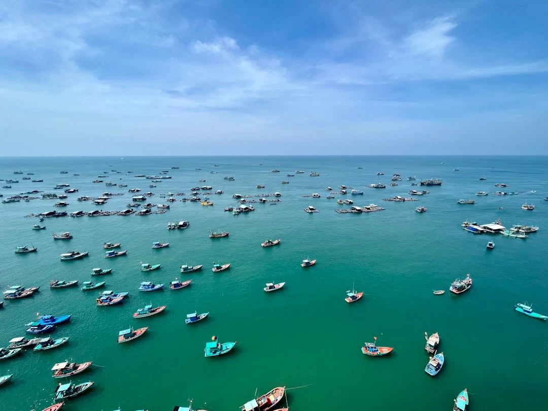 Thiền 963 trong văn hóa Việt Nam