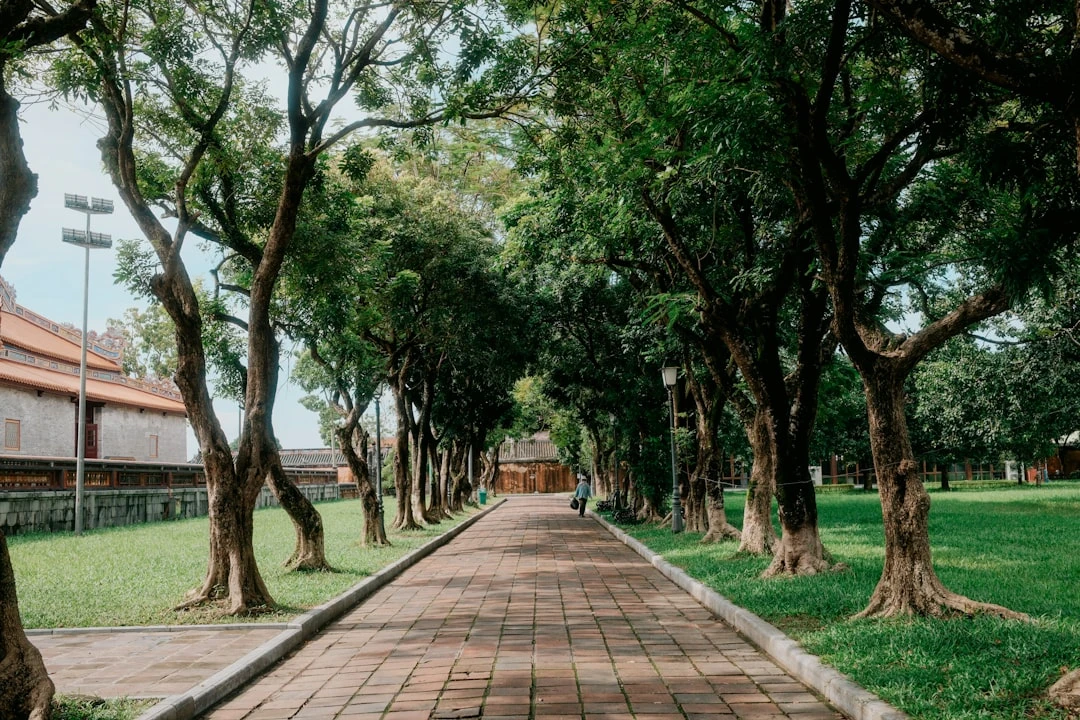 Thiền chánh niệm trong công viên Việt Nam