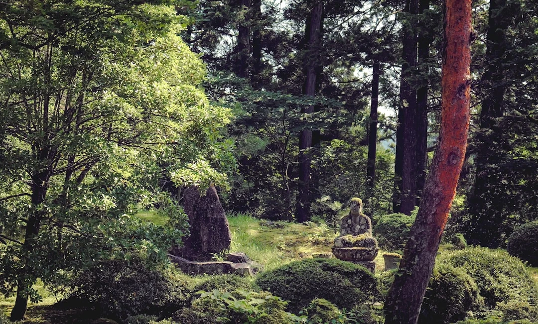 Thiền sư đang hành thiền