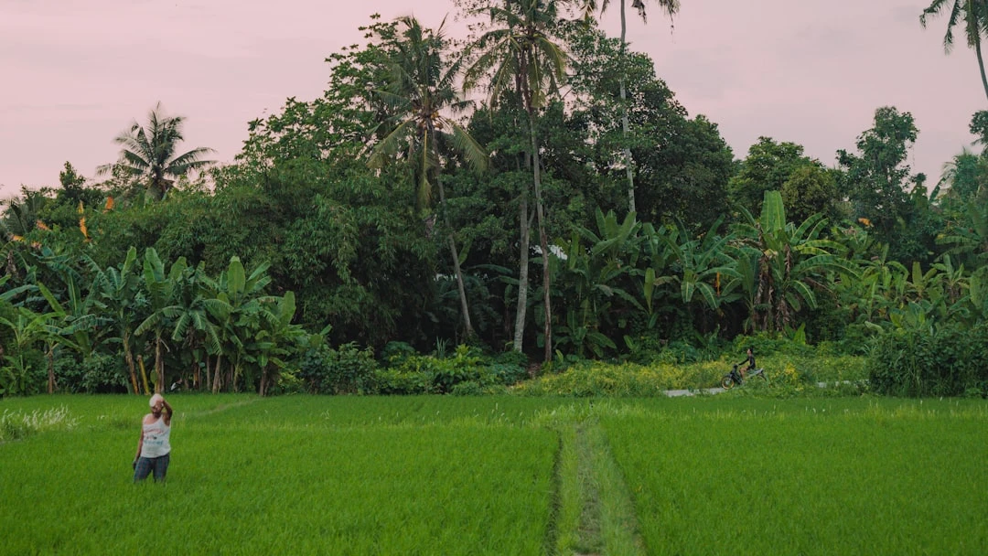 Trung tâm mindfulness holidays tại Ubud Bali với vườn yên tĩnh và kiến trúc truyền thống
