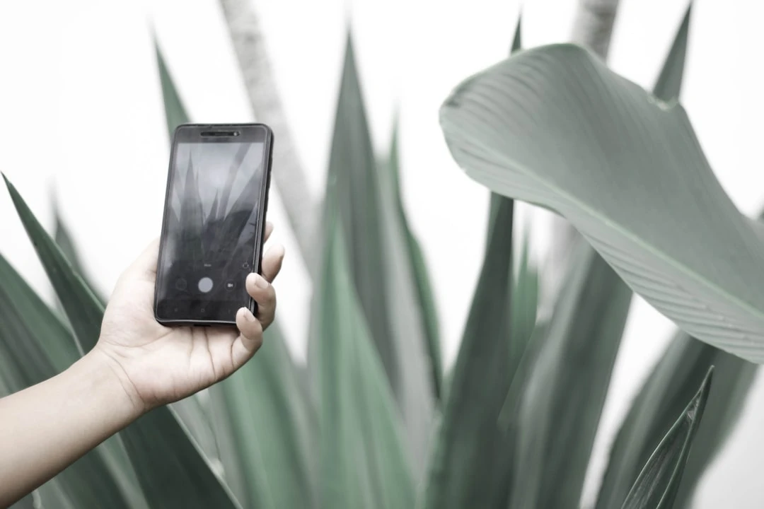 Ứng dụng mindfulness và nền tảng streaming cung cấp âm thanh thiên nhiên cho thiền