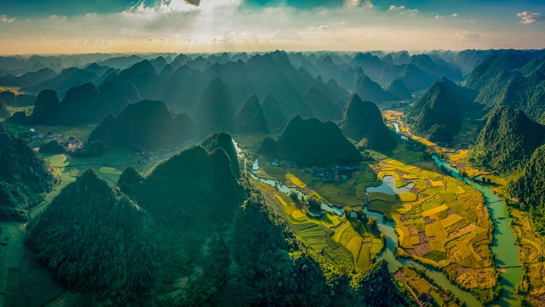 thien-rai-tam-tu-tieng-pali-hanh-trinh-yeu-thuong-va-binh-an